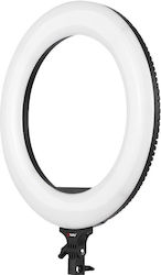 Tolifo 7989 48W Tolifo 7989 48W
