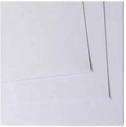 AG Trees Cardboard 50x70cm White
