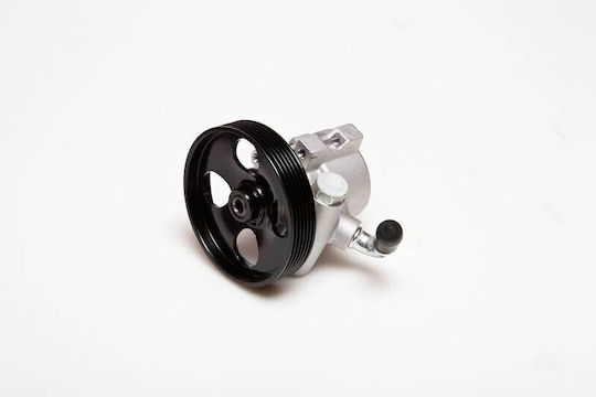 Power Steering Pump Xsara Peugeot 306 2.0 Hdi 4007x0
