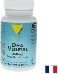 Vit'All+ Σκληρυντικό