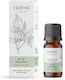 Aromatique Αιθέριο Έλαιο Πατσουλί 10ml