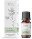 Aromatique Αιθέριο Έλαιο 10ml