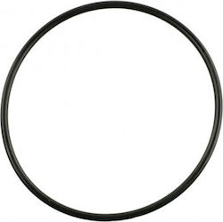 O-ring Iveco Daily 14 17284580