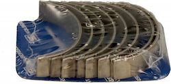 Κουζινέτα Στροφαλοφόρου Άξονα Vw T2 1 2-2 1b Std Cbs/4-780 P Std Κουζινέτα Στροφαλοφόρου Άξονα Vw T2 1 2-2 1b Std Cbs/4-780 P Std
