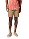 Men's Beige Shorts