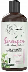 Solverx Șampon 400ml Solverx Șampon 400ml