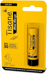 Farmapol Lipstick Honey Mango 5.1gr