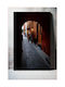 Gemälde Quiet City Alley Ήsυχο Σοκάκι Πόλης 100x150