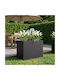 vidaXL Ghiveci De Flori Metalic Negru 60x40x50cm