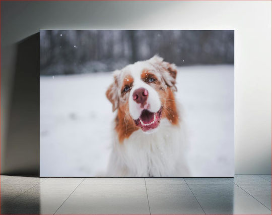 Painting Happy Dog In Snow Happy Dog In Snow 150x100