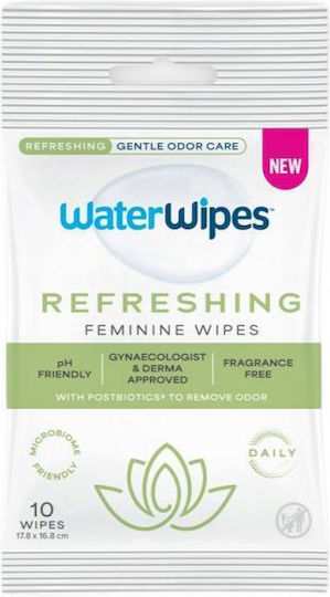 WaterWipes WaterWipes Baby-Feuchttücher mit 99,9 % Wasser alkoholfrei Parabene frei 10 Stück