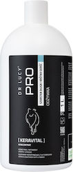DR LUCY Conditioner 1000ml