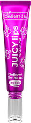 Bielenda Lip Oil Blueberry 10gr
