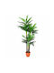 Plantă Artificială Palmier Areca În Ghiveci 180cm 99215
