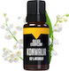 Bilovit Етерично Масло Градински Чай 10ml