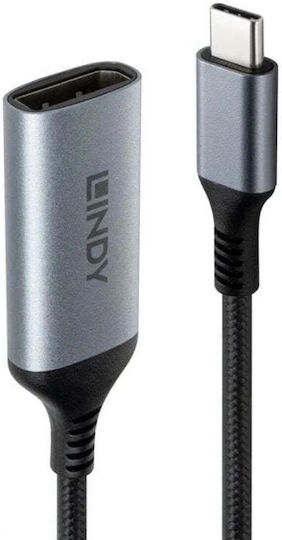 Lindy USB-C Männlich Zu DisplayPort Weiblich Konverter