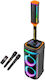 Karaoke Speaker with Wireless Microphones and Lighting Effects WGY-SZ8809 088095 Black