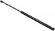 Trunk Shock Honda Accord VII CH 99 74820S1CE01