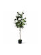 Copac Artificial Trandafir Alb Ghiveci 135cm 88326-1