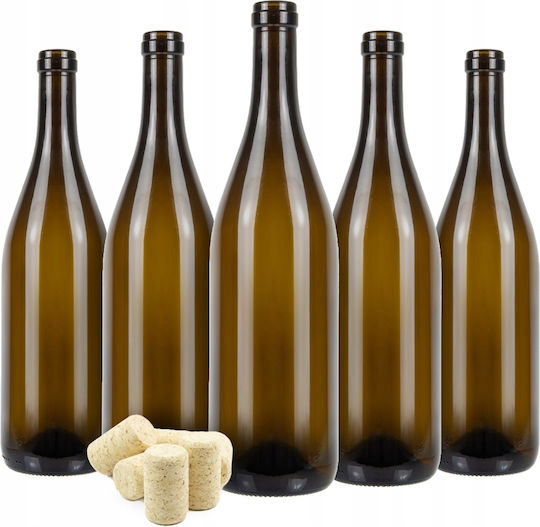 35x Sticle de Vin Bordeaux din Sticlă 0,75l cu Dop de Plută