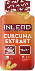 AllNutrition Curcuma Extract 120 Turmeric Capsules AllNutrition Curcuma Extract 120 Turmeric Capsules