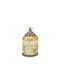 Glass Gold Lantern