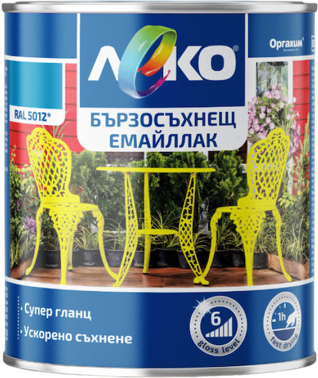 Quick-drying Enamel Paint Leko Metal Alkyd Base Gloss 0.65l Light Blue