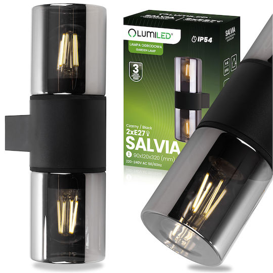 Aplica De Grădină Pentru Exterior 2x E27 Salvia