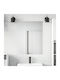 vidaXL Wandsticker Spiegel-Film 45 x 150 cm 2 Stück Silber Pet