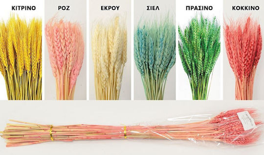 Aποξηραμένo Μπουκέτο Στάχυα 70cm 0516155 Κόκκινο