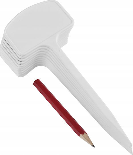 Label Plates Describing Plants 30 Pcs Pencil Label Plates Describing Plants 30 Pcs Pencil