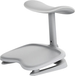 Libernovo Stepsync Footrest Gray Libernovo Stepsync Footrest Gray