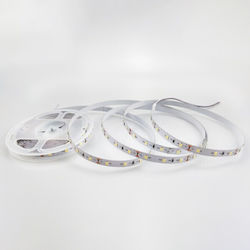 Eurolamp Ταινία LED 24V 5m Eurolamp Ταινία LED 24V 5m