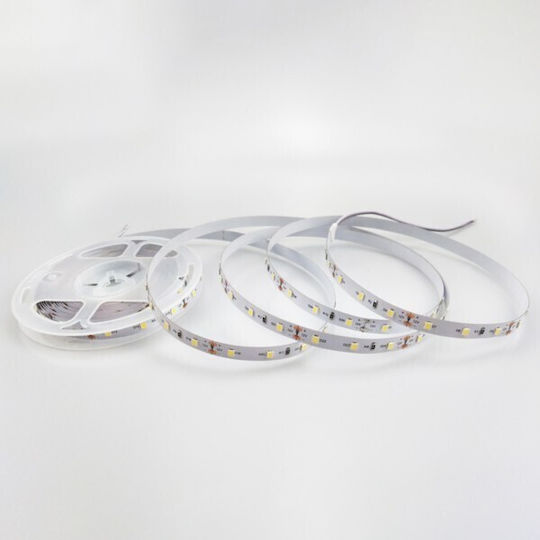 Eurolamp Ταινία LED 24V Θερμό Λευκό Φως 5m Τύπου SMD2835