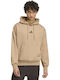 Kapuzensweatshirt in Braun