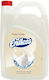 Ready Hand Cleaning Foam 4lt 2999090533