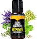 Bilovit Αιθέριο Έλαιο Tea Tree 10ml