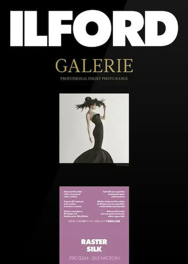 Ilford Ilford Galerie Raster Hârtie Foto Silk 290g 10x15cm 100 Foi