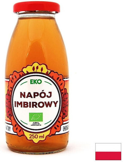 Bio-Ingwer Getränk 250 Ml Dary Natury