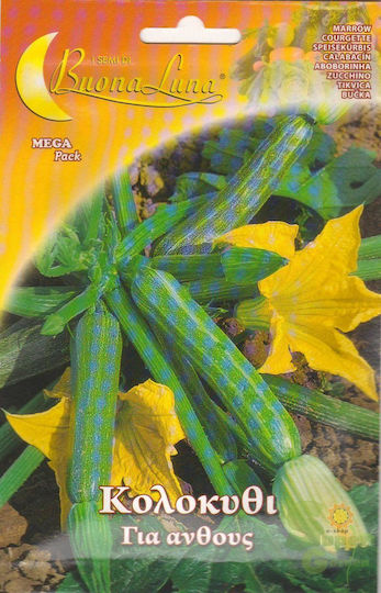 Primasem Kürbissamen für Blüte 10g