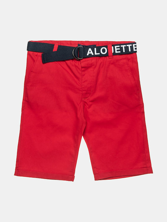 Alouette