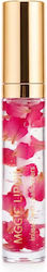 Kiss Beauty Ulei De Buze 5ml Kiss Beauty Ulei De Buze 5ml