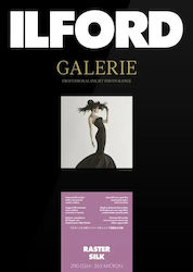Ilford Photo Paper Ilford Galerie Raster Silk 290g A2 25 Sheets Ilford Photo Paper Ilford Galerie Raster Silk 290g A2 25 Sheets