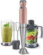 Blender de mână cu Tijă din Inox 1200W Gri