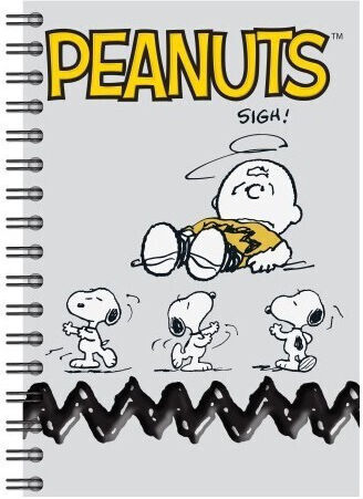 Peanuts Snoopy and Woodstock Σπιράλ Τετράδιο Ριγέ Β5 70 Φύλλων 2 Θεμάτων