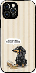Husă Sonique Stripe Stories Series Apple iPhone...