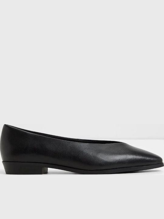 Aldo