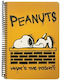 Peanuts Snoopy and Woodstock Σπιράλ Τετράδιο Ριγέ Β5 105 Φύλλων 3 Θεμάτων Point