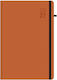 Innostat Tägliche Tagesordnung 2027 Braun 14x21cm