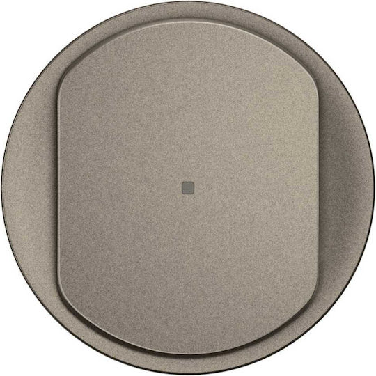 Celiane 3k Leds Neutral Titanium Adjustment Plate